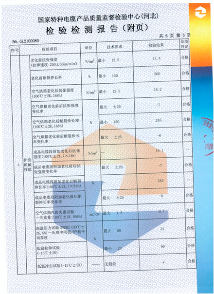 檢測(cè)報(bào)告