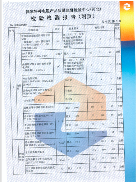 檢測(cè)報(bào)告