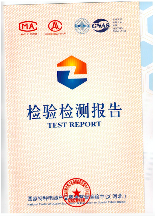 檢測(cè)報(bào)告