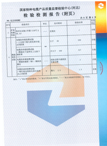 檢測(cè)報(bào)告